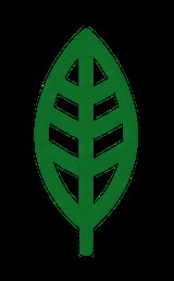 Green leaf icon with stem and veins on black background